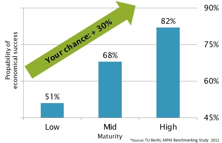 Illustration of maturity and project success in complex landscapes