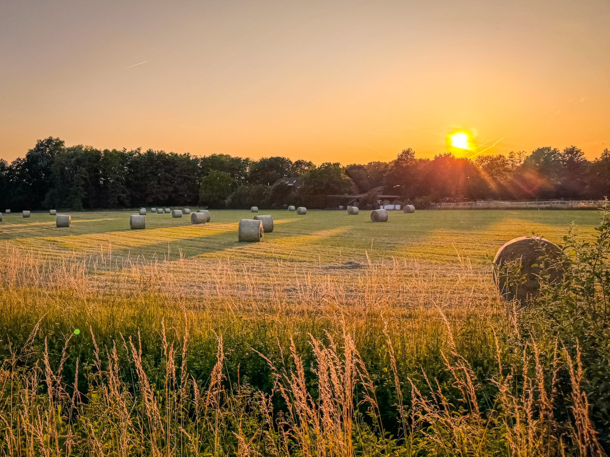 Sunset behind silhouettes