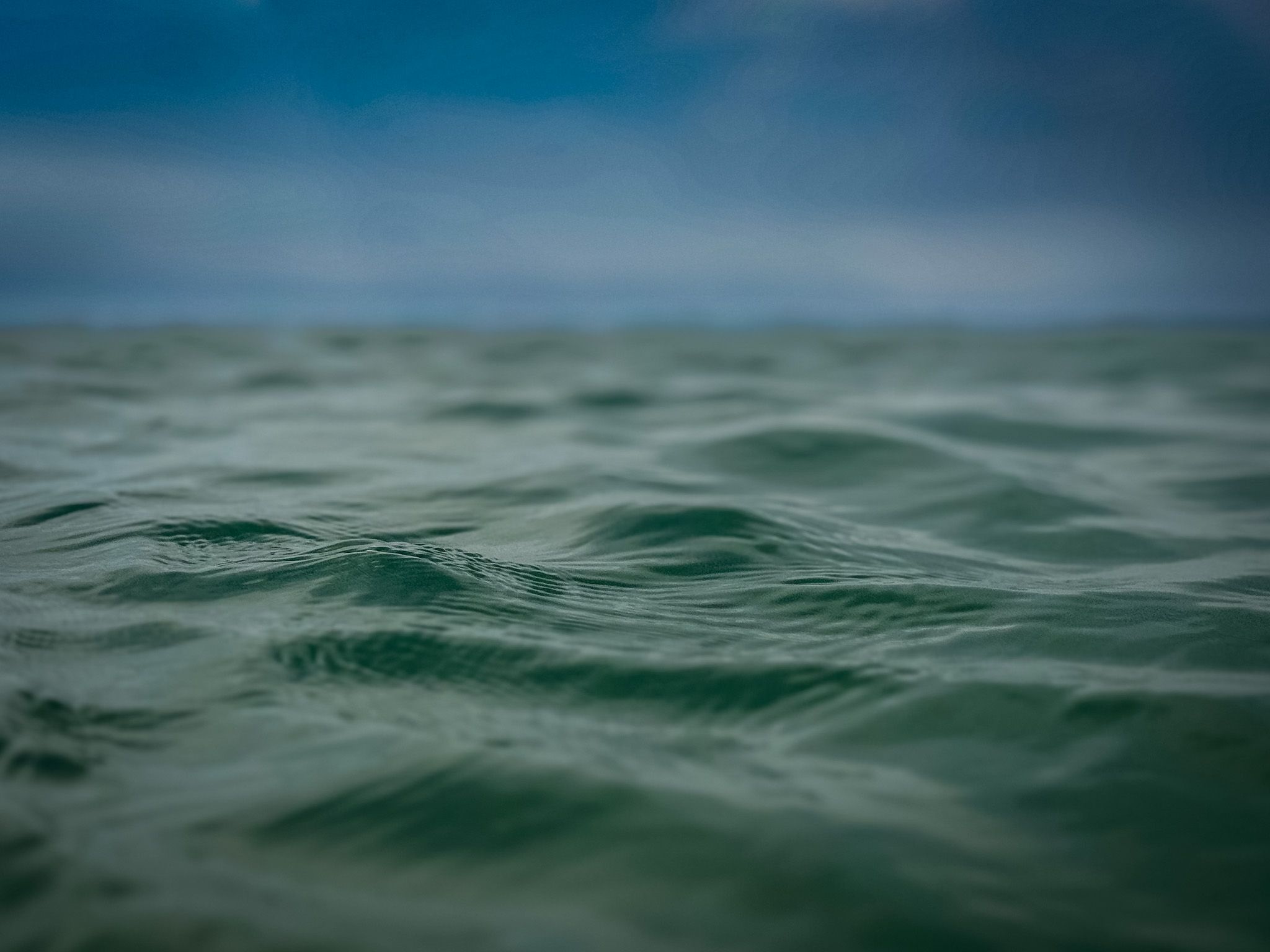 Im Rhythmus der Strömungen