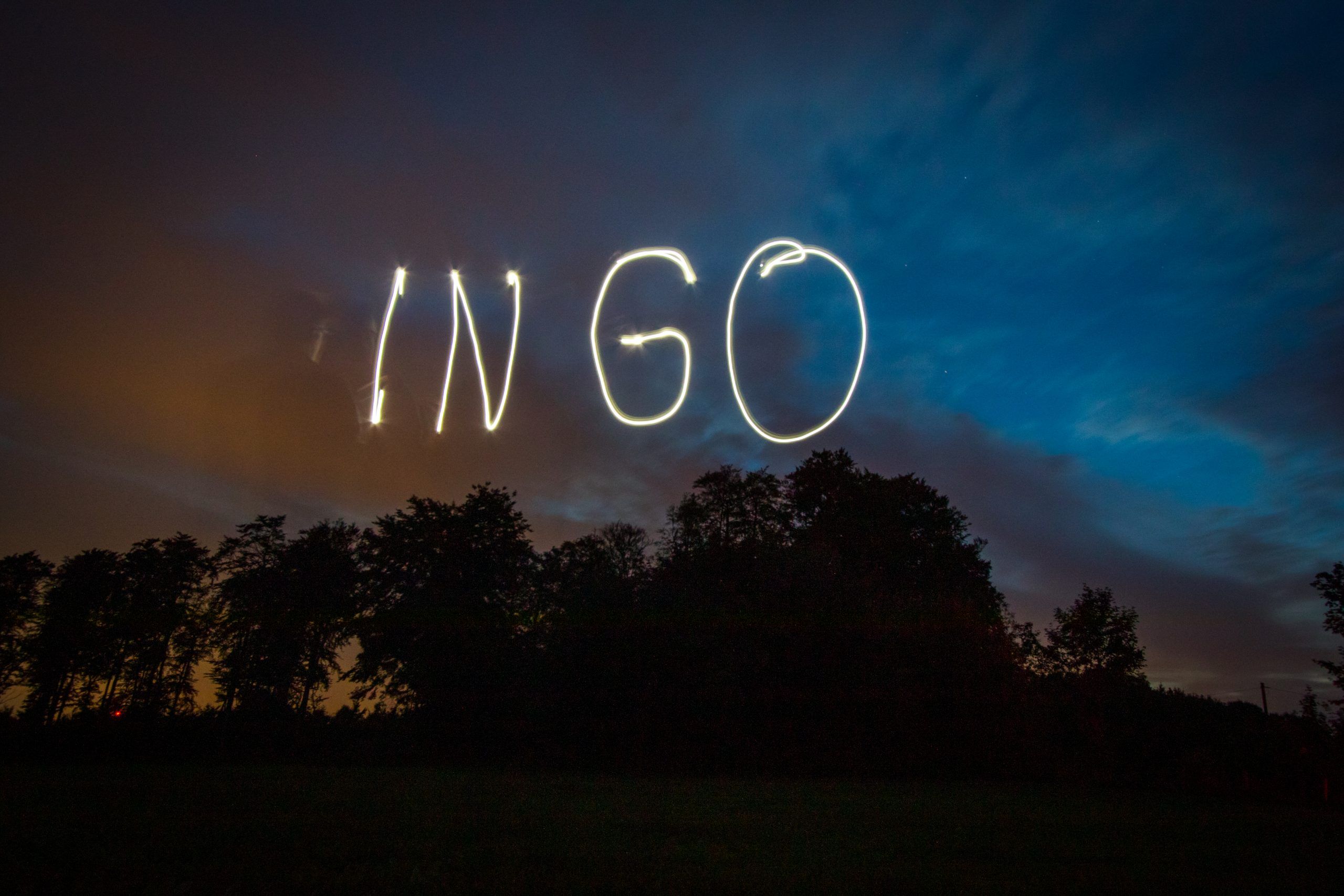 Lebenslauf von Ingo Meironke