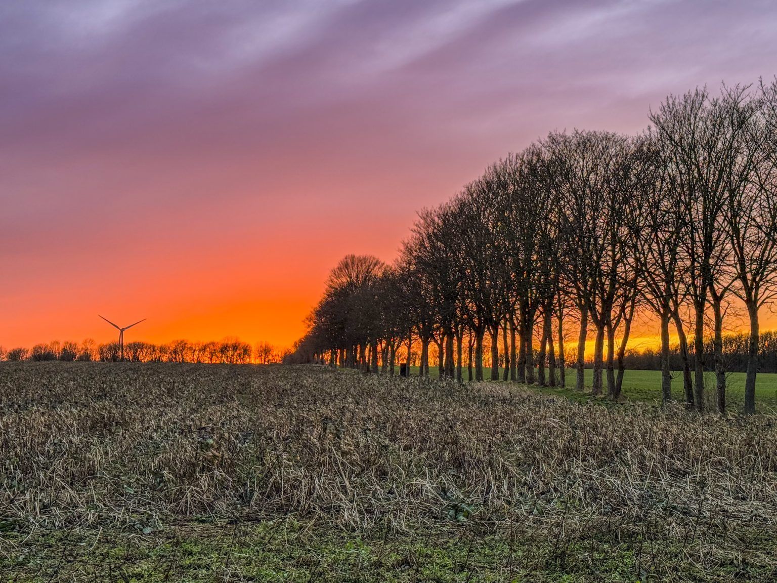 Structure in evening light