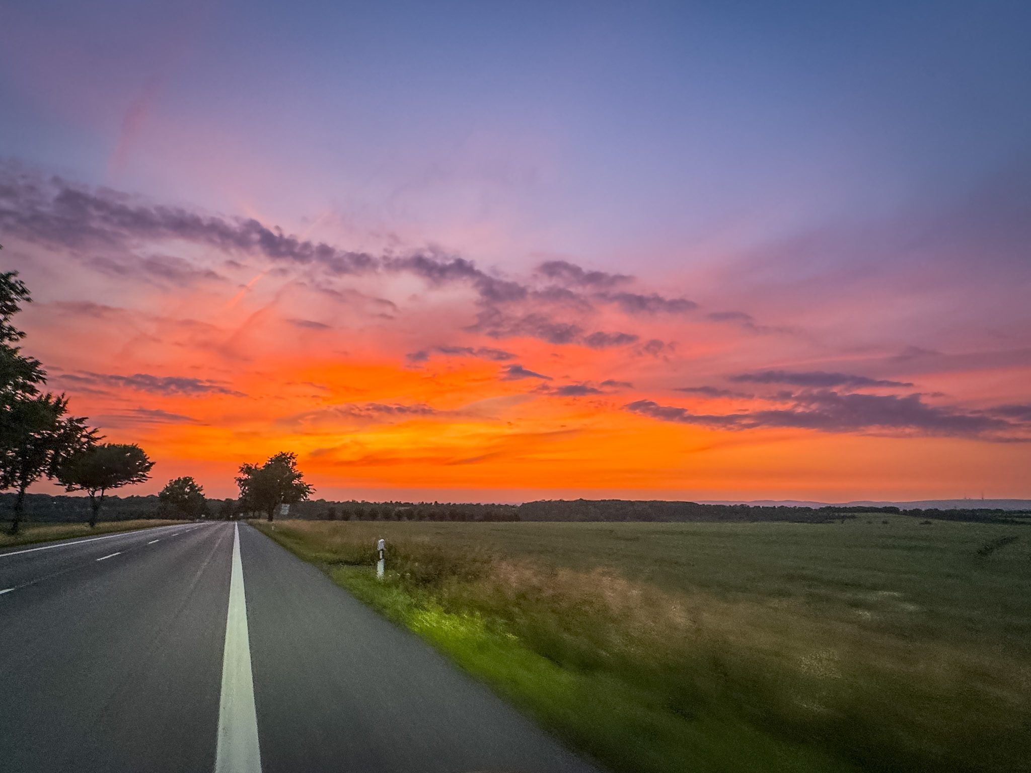 Path into Evening Light